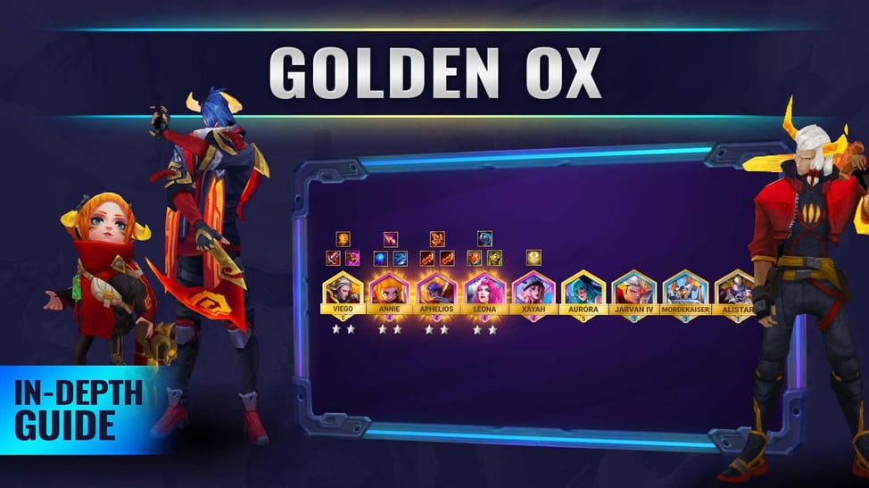 Video guide